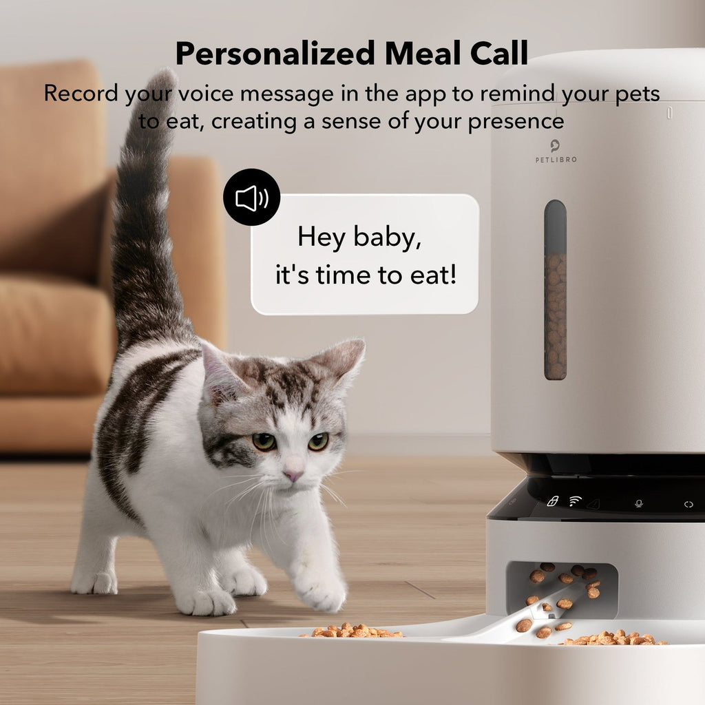 Dual-Bowl Wi-Fi Pet Feeder product image 4