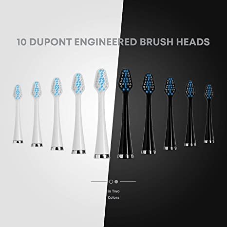 Sonic Toothbrush with Charging Base product image 5